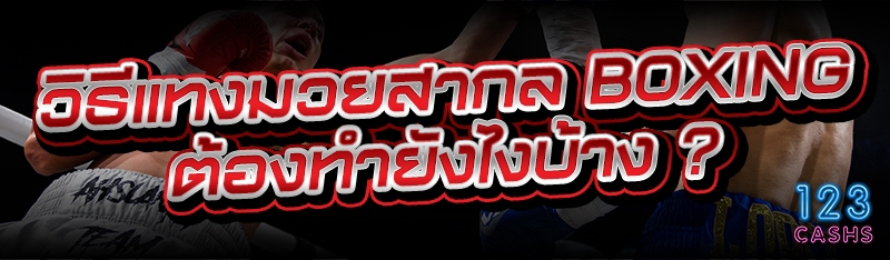 วิธีแทงมวยสากล BOXING ต้องทำยั